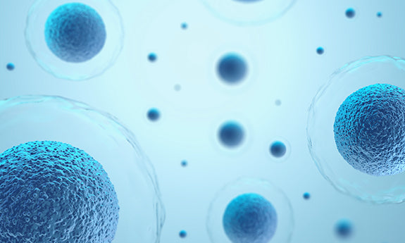 Microscopic view of a virus particle